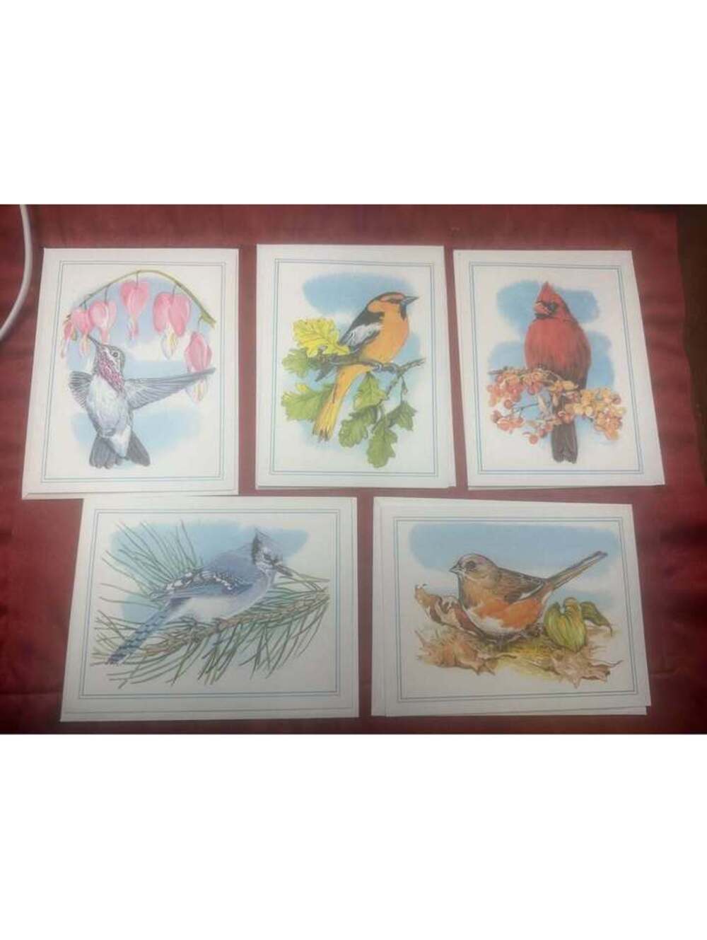 Vintage Bird Illustration Stationery Note Cards Set